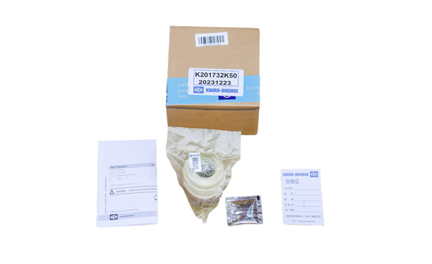 Push disk repair kit